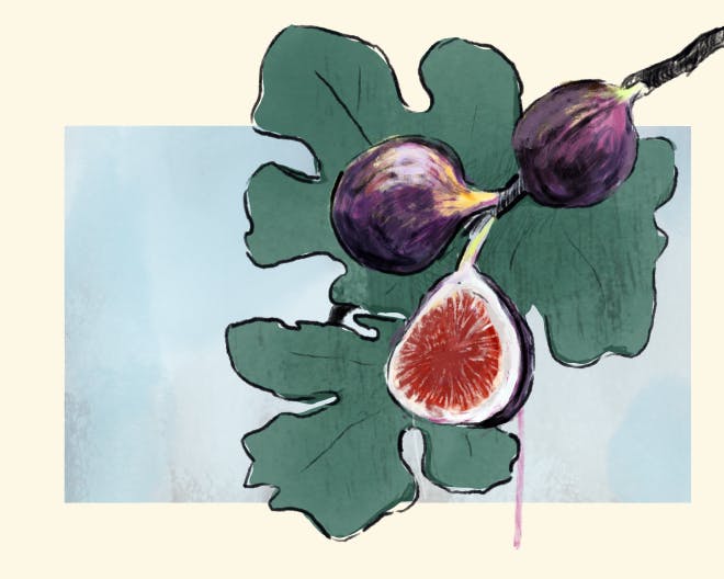 Three figs, with one cut open, rest on green leaves against a blue and yellow background.