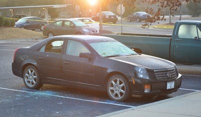 Tiger lodge shooting car