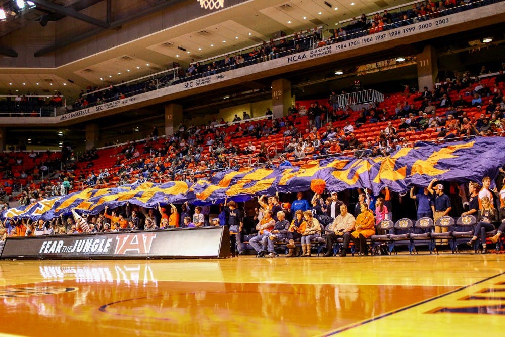 basketball crowd photo