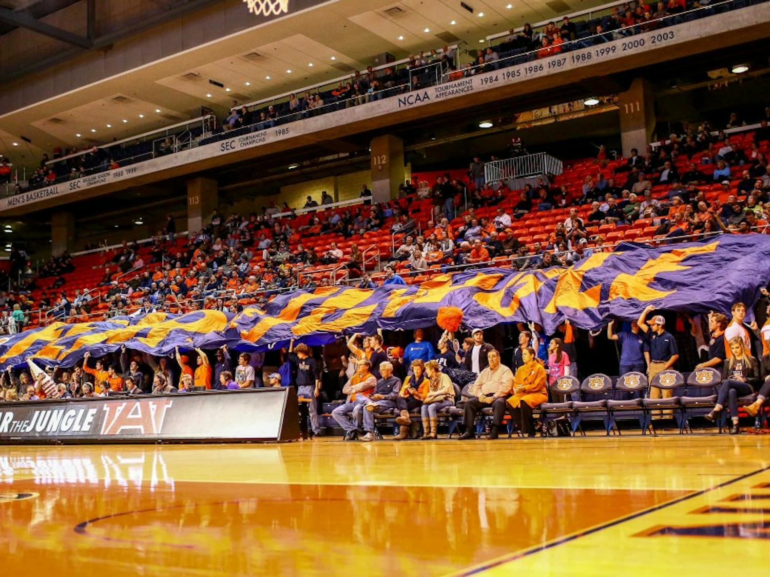 basketball crowd photo