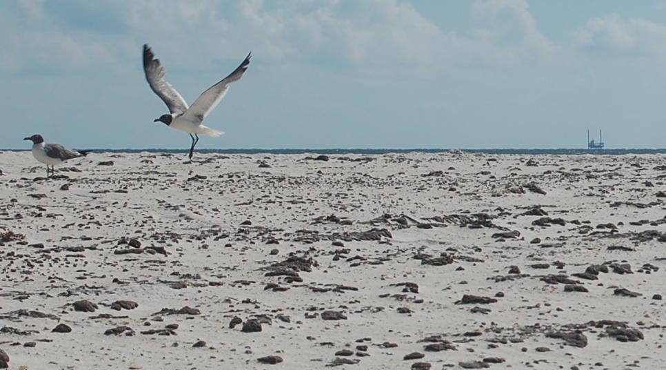 Tar balls pock the beach at Gulf State Park, Ala. on July 4, 2010. (Brian Woodham / ASSOCIATE COPY EDITOR)