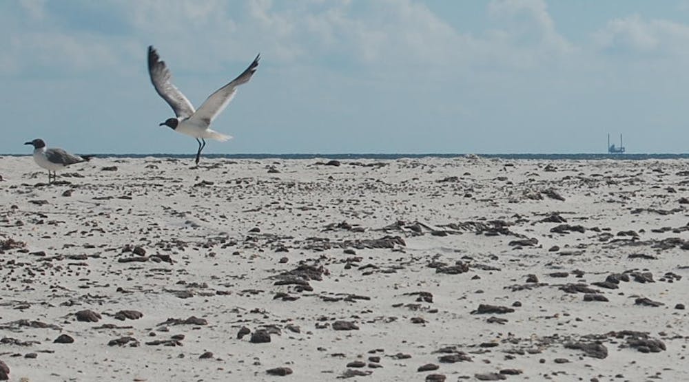 Tar balls pock the beach at Gulf State Park, Ala. on July 4, 2010. (Brian Woodham / ASSOCIATE COPY EDITOR)
