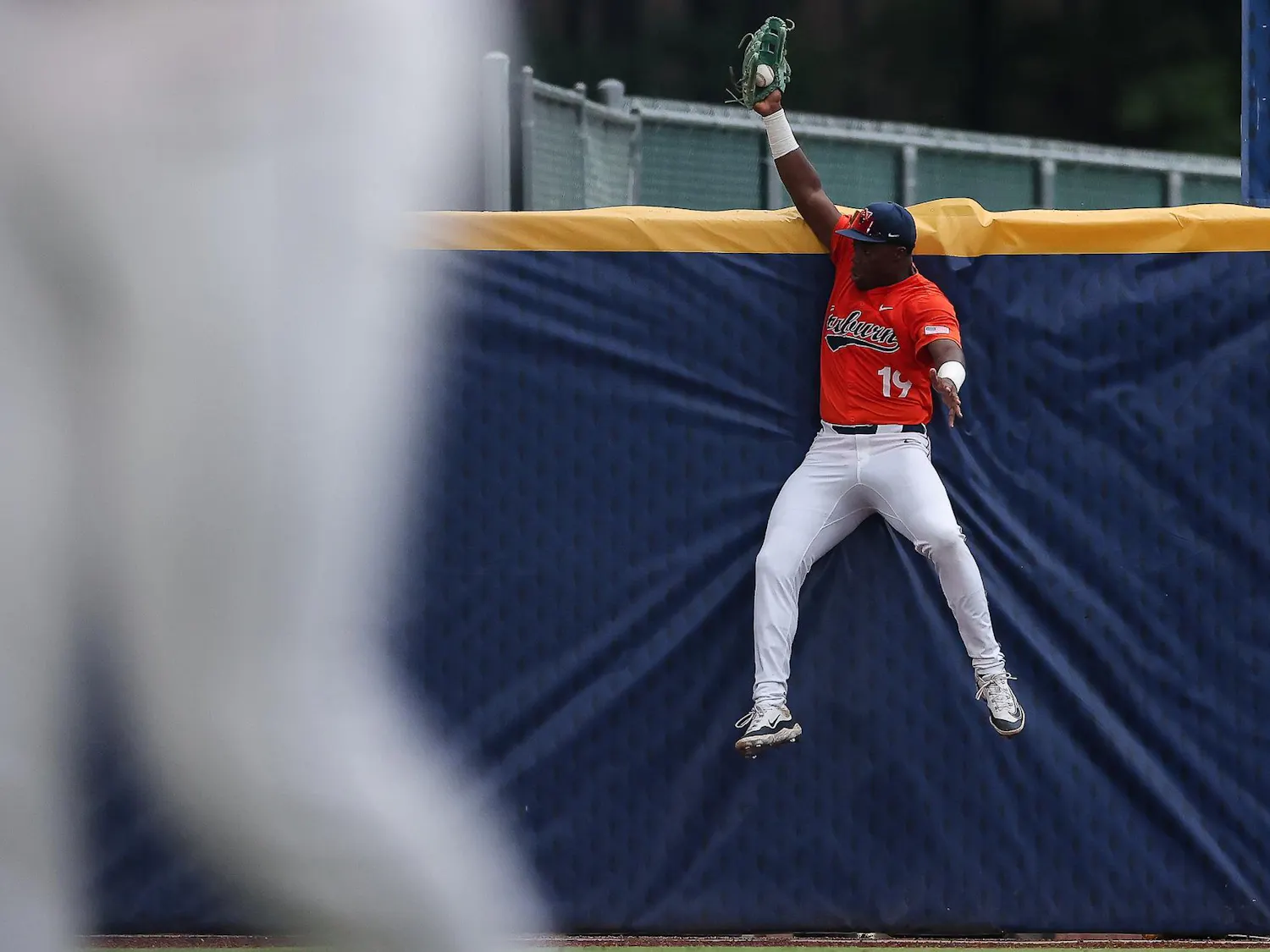A baseball player in an orange jersey leaps against a blue wall, reaching for a ball with one hand.