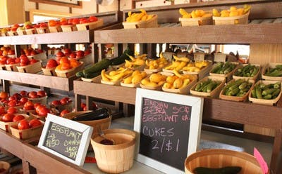 Morgan Thacker /  ASSOCIATE PHOTO EDITOR