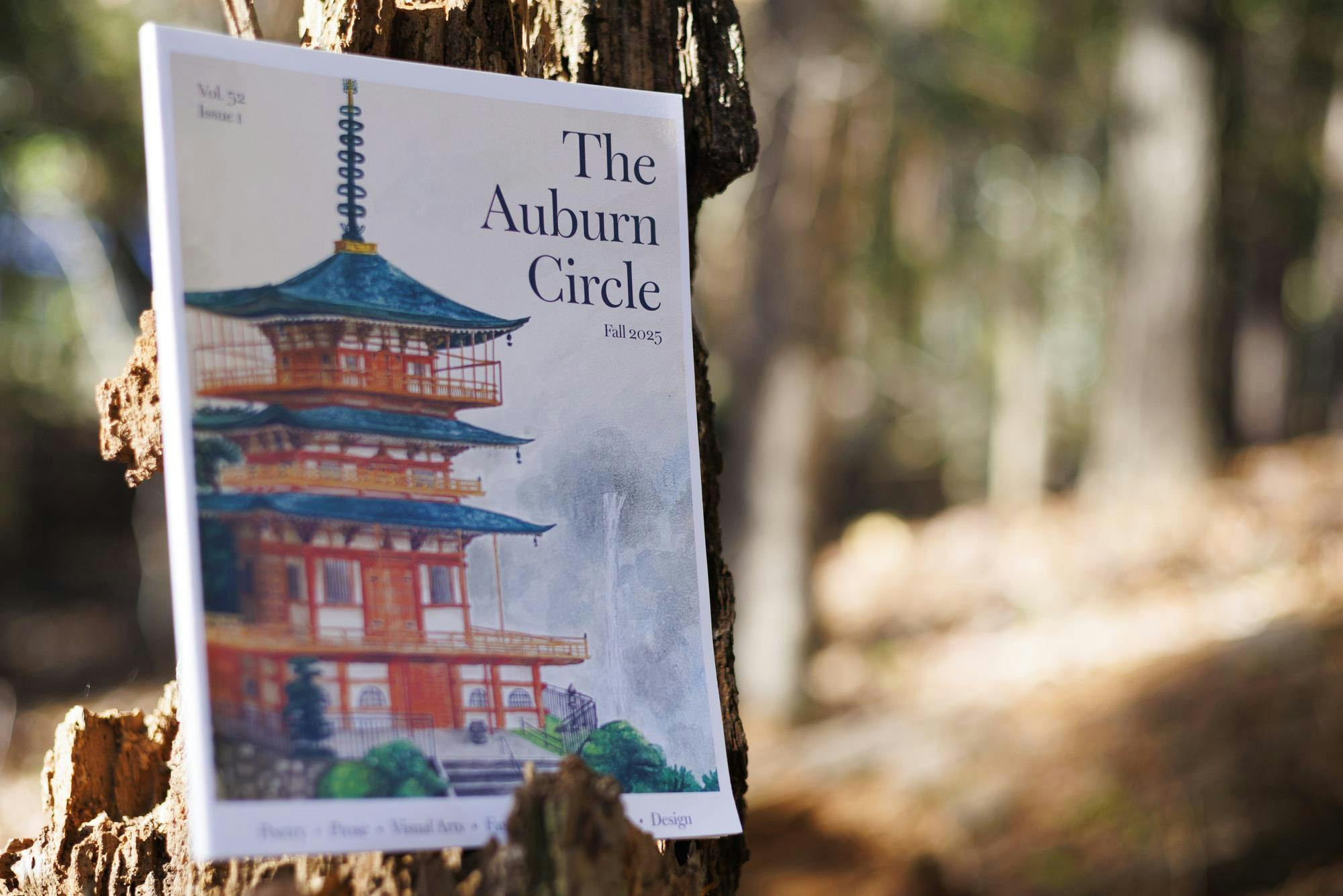 Image of the fall 2025 Auburn Circle print.