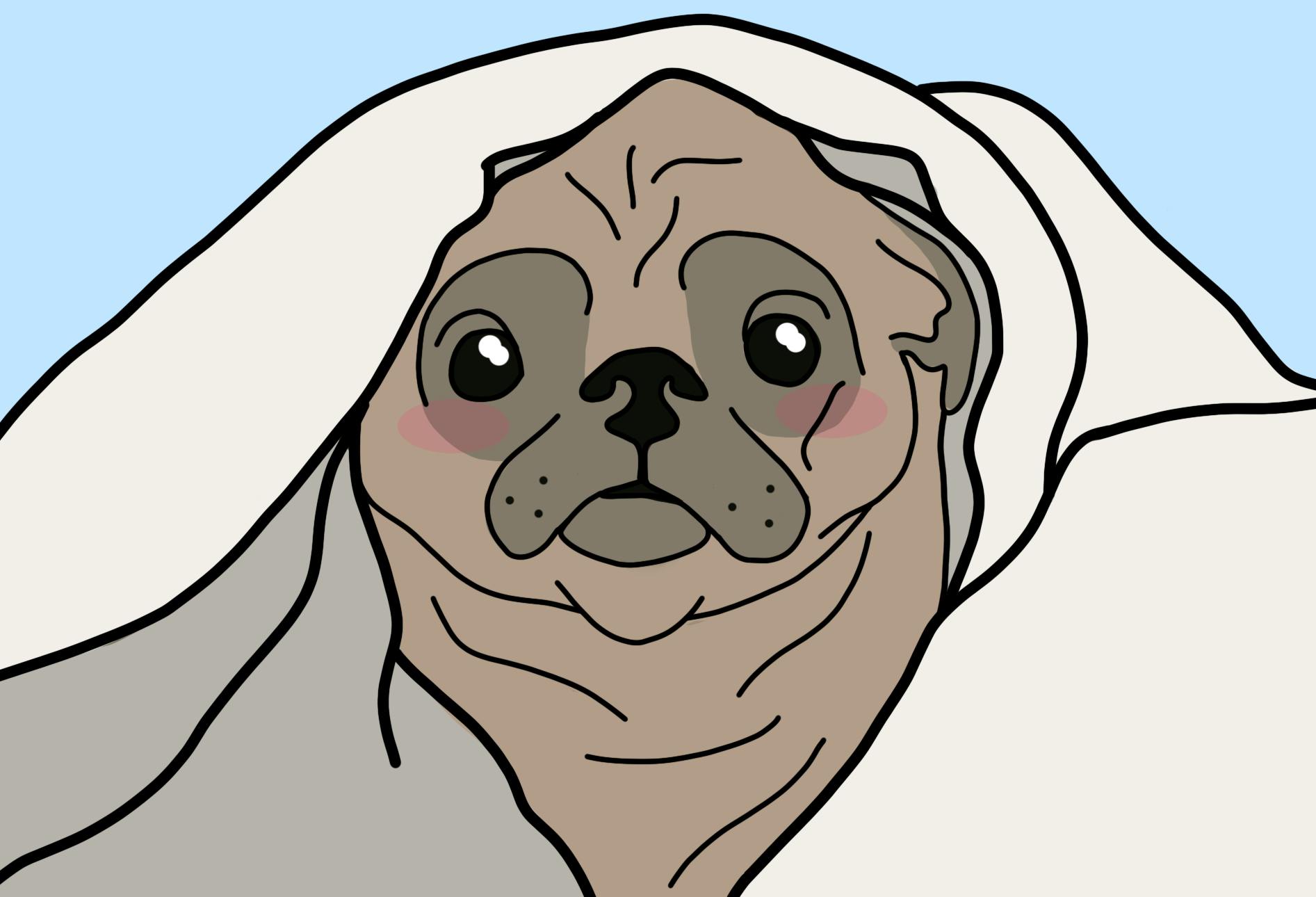 Noodle Plainsman.png