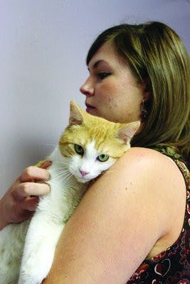Stacee Peer loves on cat looking for adoption. (Alex Sager / PHOTO EDITOR)