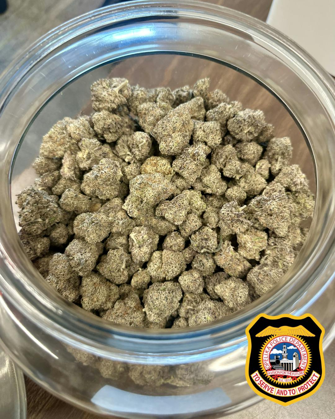 A glass jar filled with densely packed hemp flowers