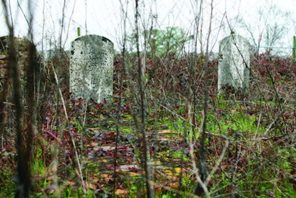Pinetucket Cemetery is located in the Wilson Beef Lab's cow pasture on Wire Road. The Auburn Heritage Association has plans for a $10,000 restoration of the cemetery within the next year. (Rebecca Croomes / PHOTO EDITOR)