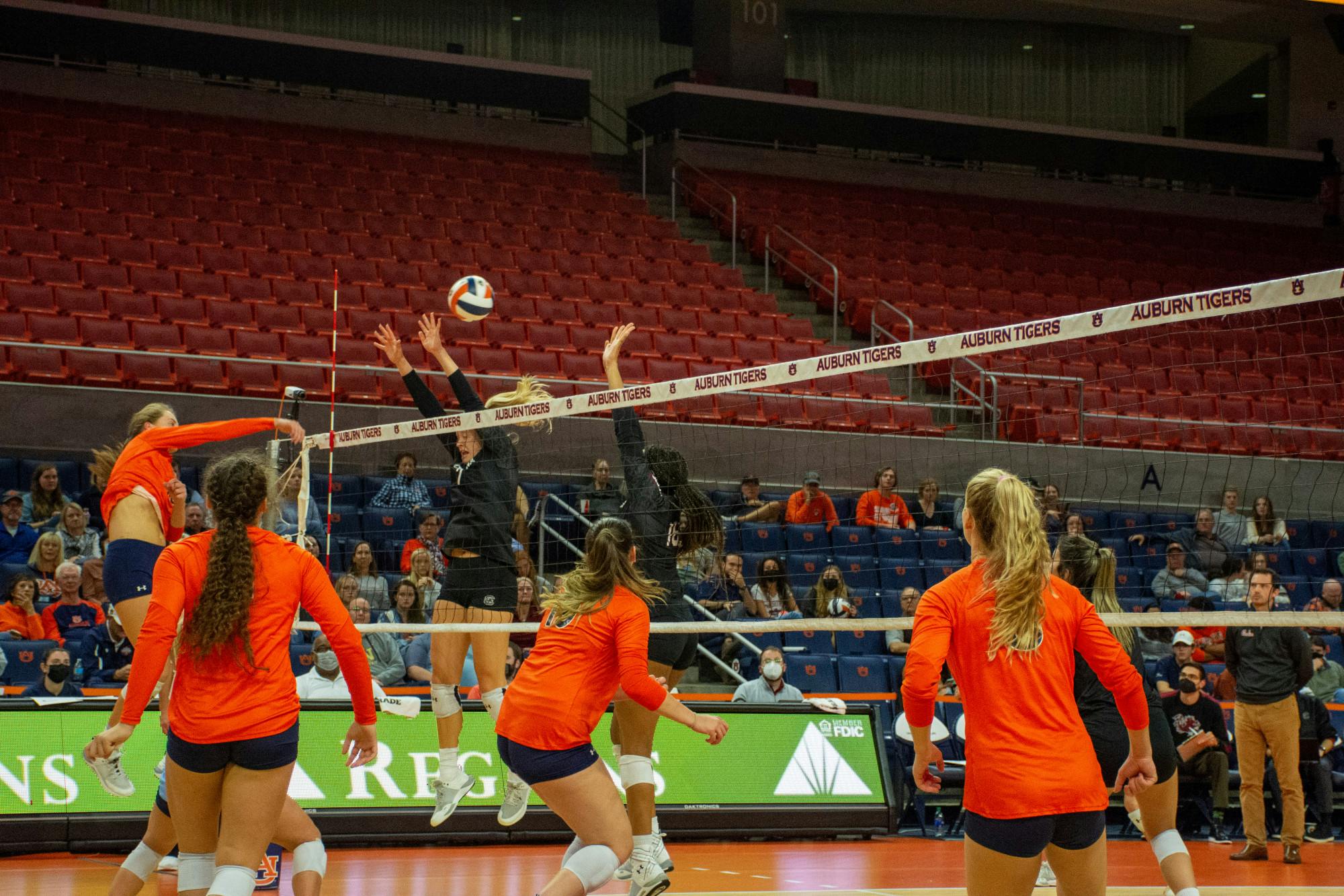Volleyball vs South Carolina