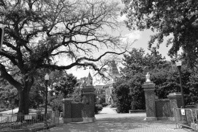 Danielle Lowe / PHOTO EDITOR