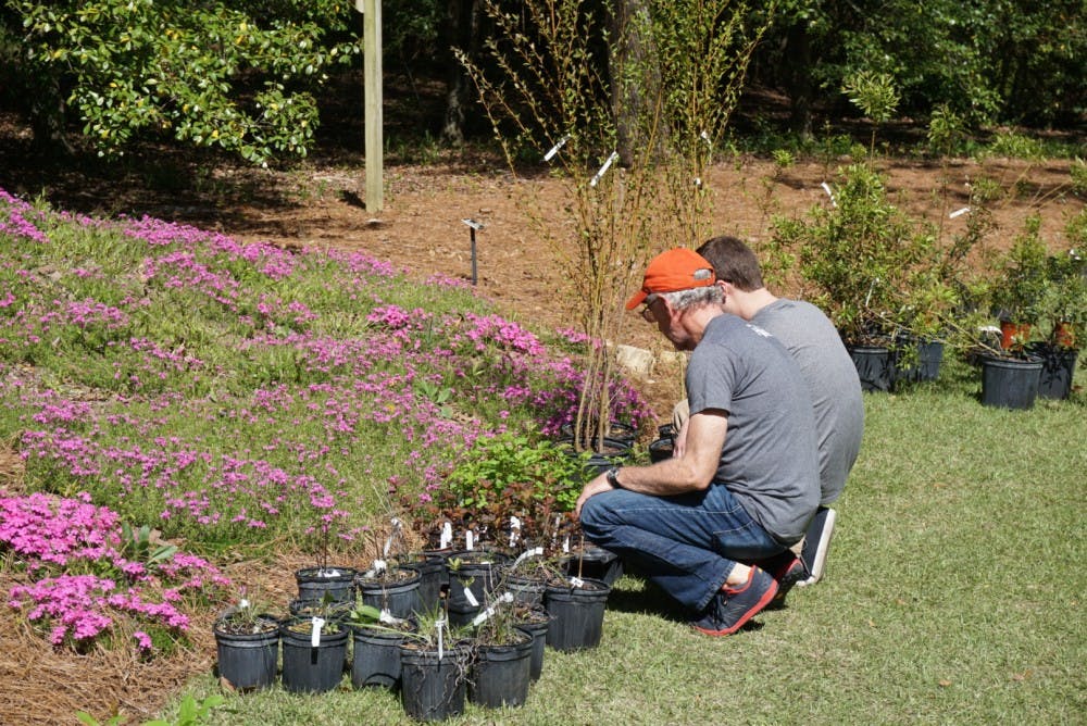 Attendees look to purchase different plants at the Azalea Festival at Auburn University's Donald E. Davis Arboretum on Saturday, March 31, 2018, in Auburn, Ala.