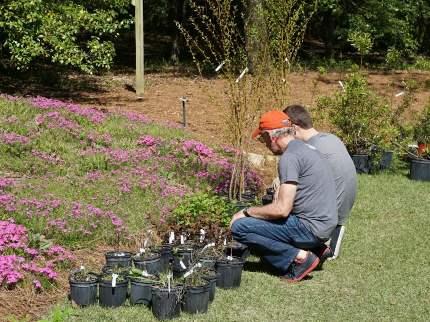 Attendees look to purchase different plants at the Azalea Festival at Auburn University's Donald E. Davis Arboretum on Saturday, March 31, 2018, in Auburn, Ala.