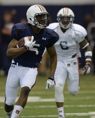 Ricardo Louis Spring