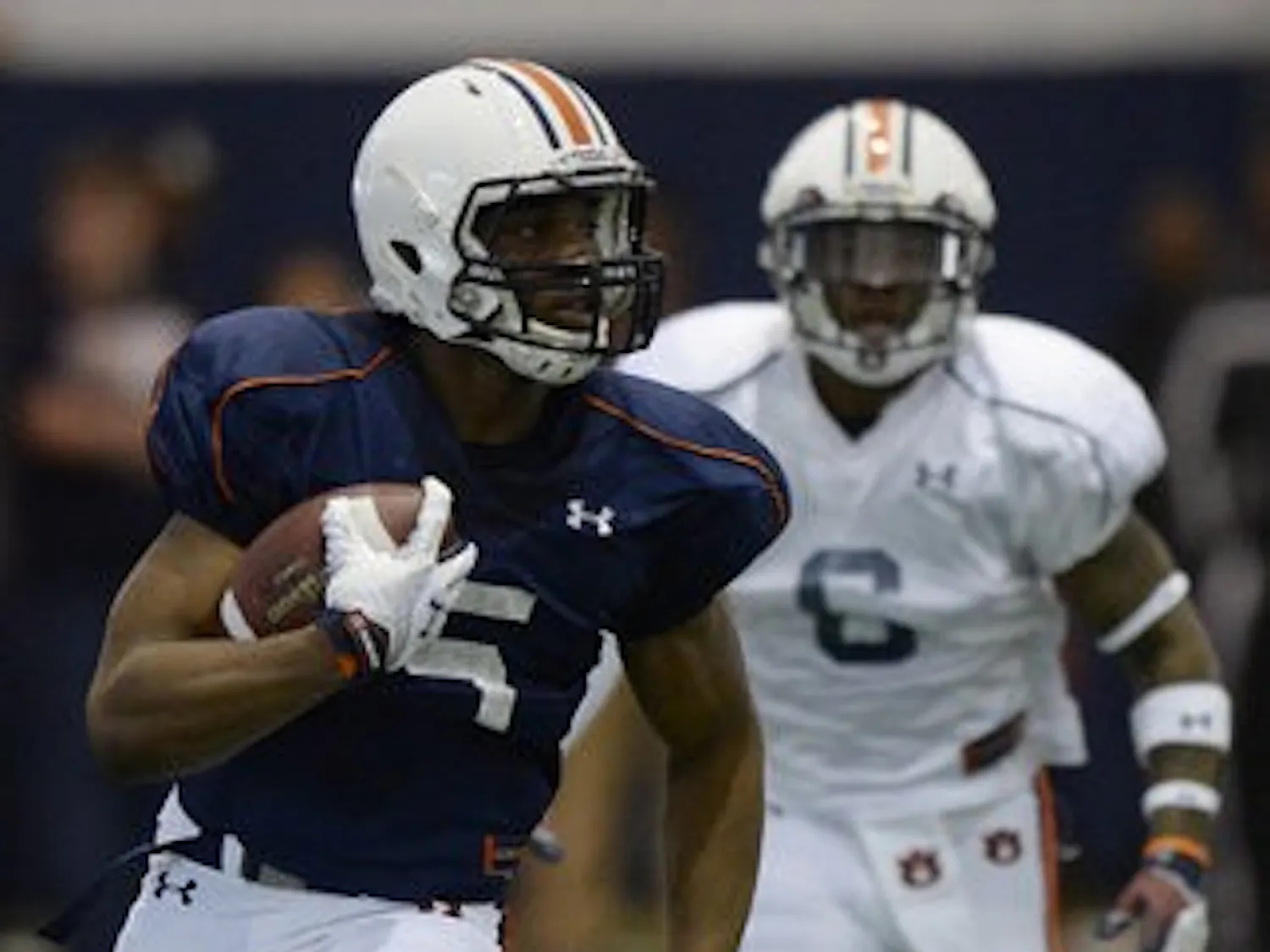 Ricardo Louis Spring