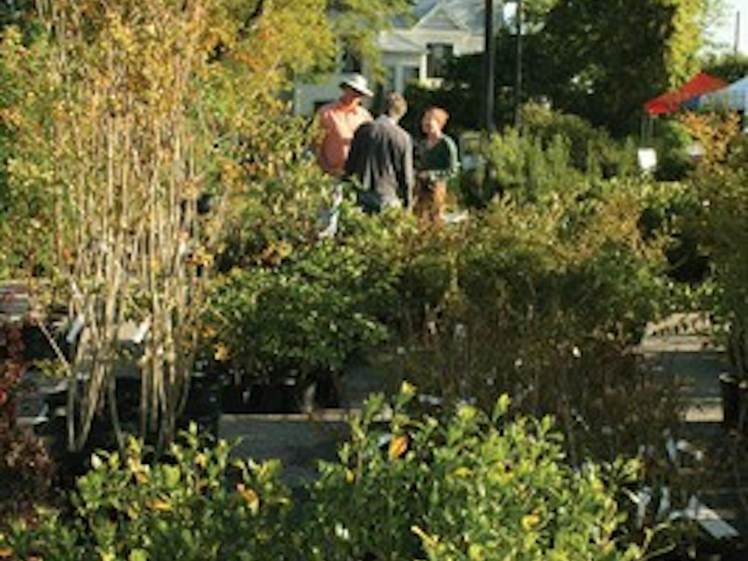 Local residents shop at the A-Day plant sale last Saturday. The Auburn University Campus club and PLANET hosted the sale.