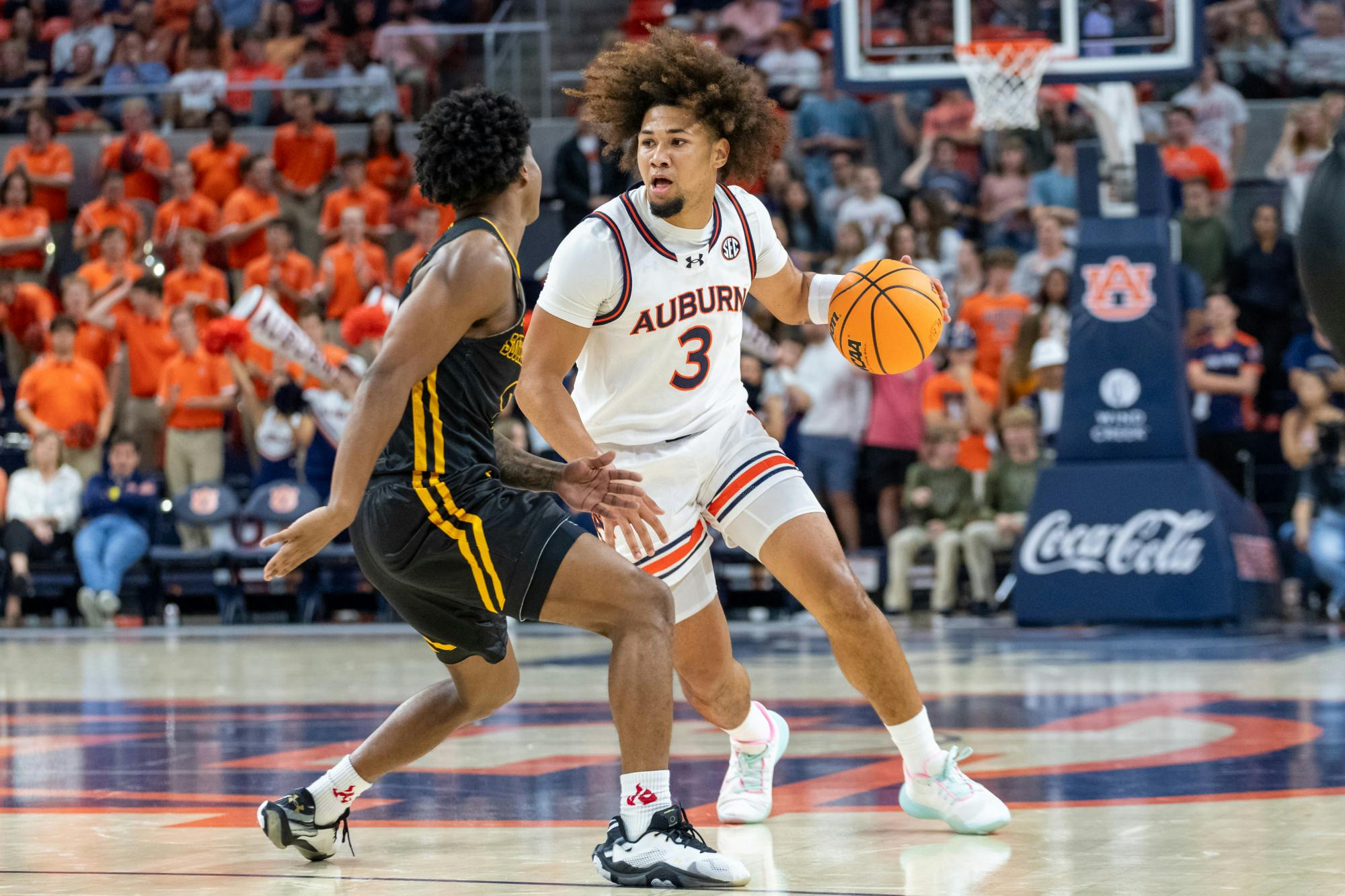 Mens Basketball vs SELU 