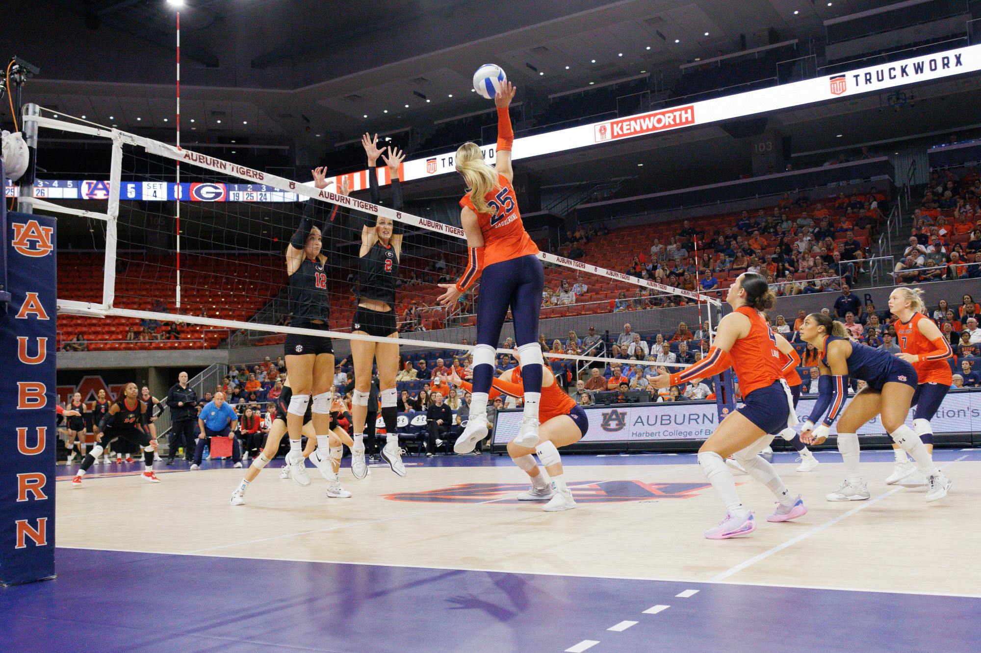 AU VB VS UGA