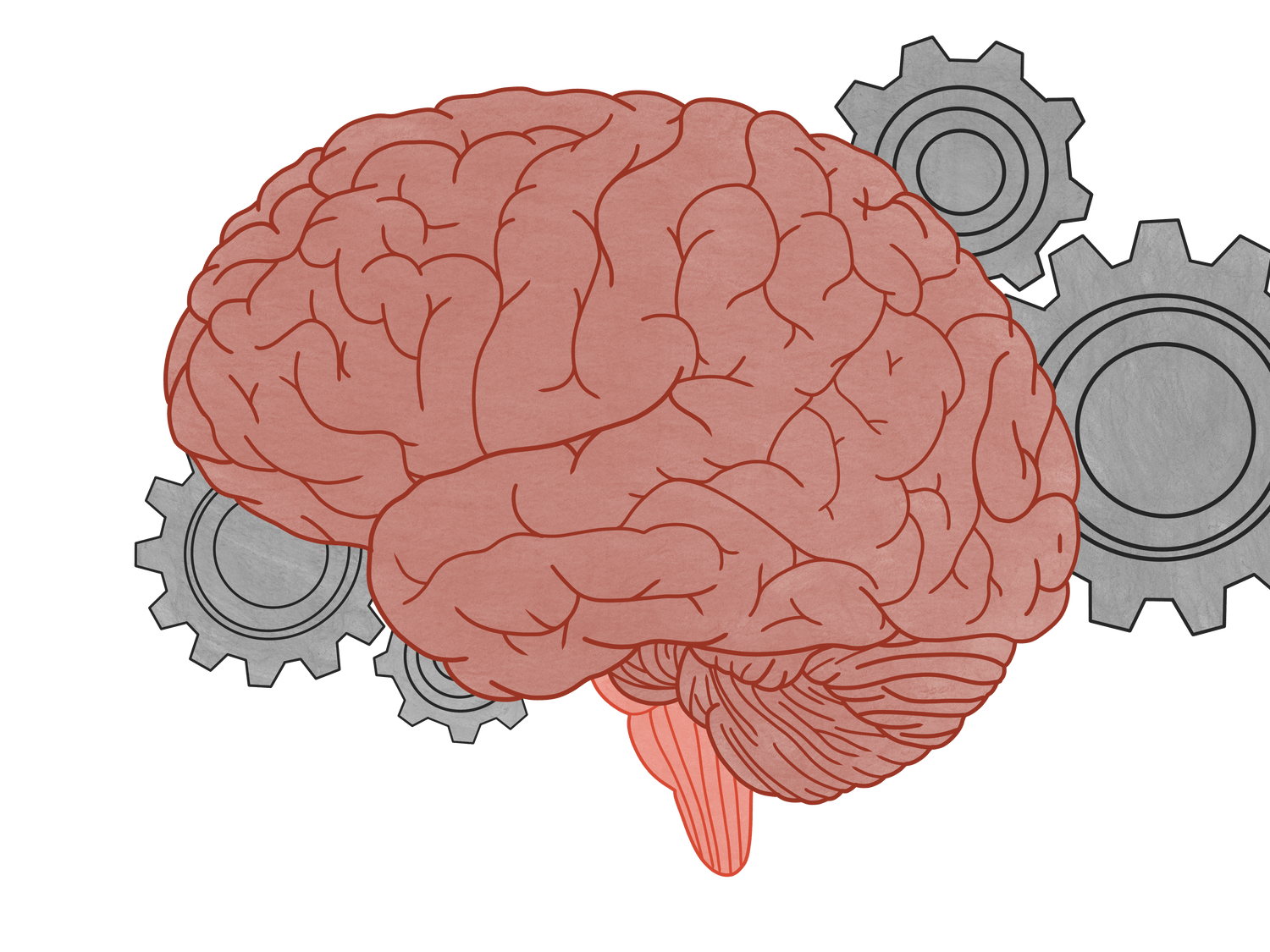 Brain with gears in background.