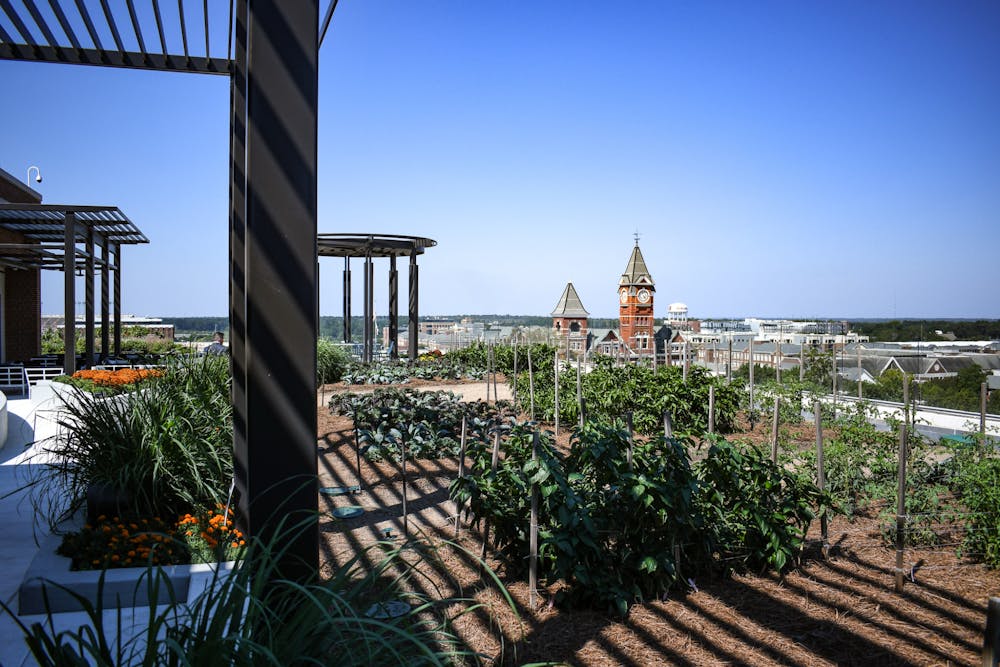 <p>The rooftop at The Laurel offers panoramic views of Samford.</p>