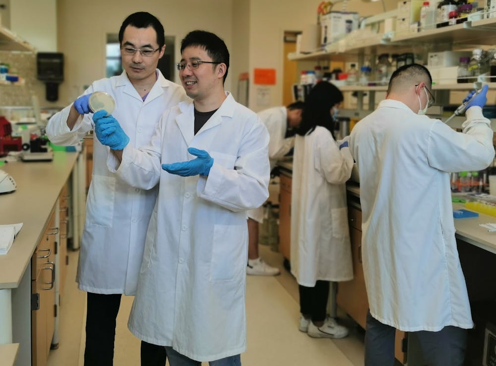 <p>Yi Wang (far left), associate professor in the Department of Biosystems Engineering, works with his post-doc Yuechao Ma (middle) in the lab. The research from Wang’s lab for renewable fatty acid ester production has been recently published and highlighted by the journal of Nature Communications.</p>