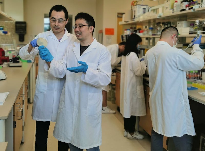 Yi Wang (far left), associate professor in the Department of Biosystems Engineering, works with his post-doc Yuechao Ma (middle) in the lab. The research from Wang’s lab for renewable fatty acid ester production has been recently published and highlighted by the journal of Nature Communications.
