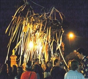 Students roll Toomer's Corner after Obama was declared winner in the presidential election over Republican candidate Mitt Romney. (Danielle Lowe / ASSISTANT PHOTO EDITOR)