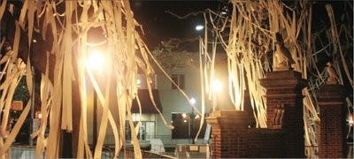 As per tradition, Auburn fans flock to Toomer's Corner to roll the famed oaks after a win. This tradition has been sacred to auburn for more than 40 years and will continue even after the trees have been removed. (Katherine McCahey / ASSISTANT PHOTO EDITOR)