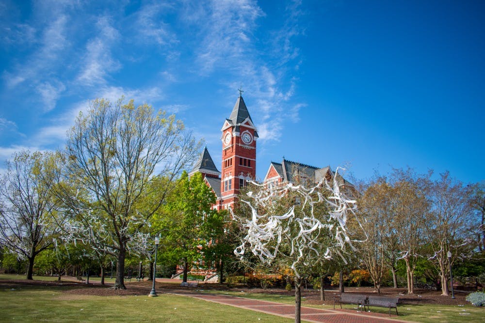<p>The trees at Toomer's Corner are rolled after an Auburn win.&nbsp;</p>