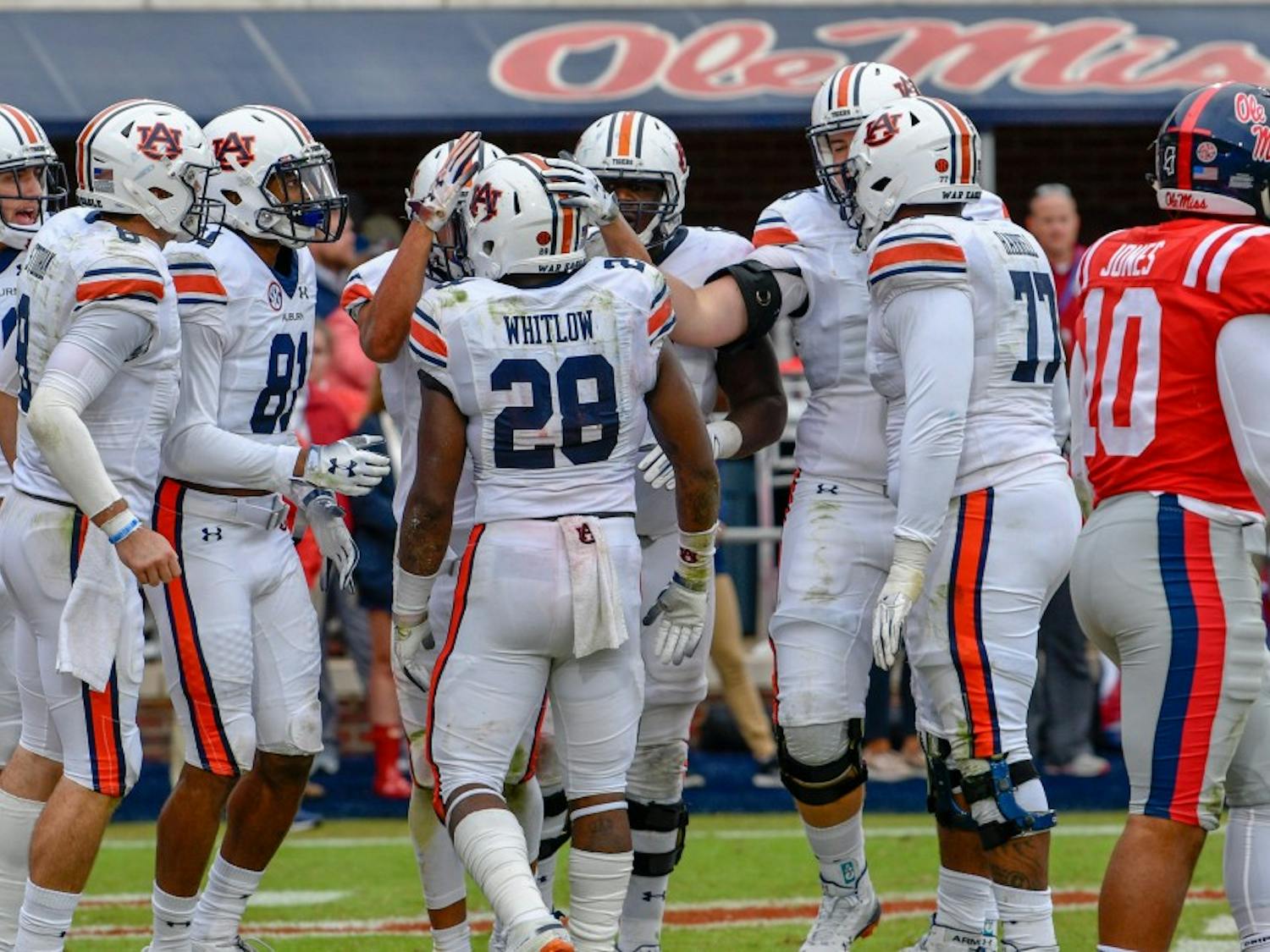 47b93ac5-2588-4d7e-9507-6f285cb967ff.original (1).jpg