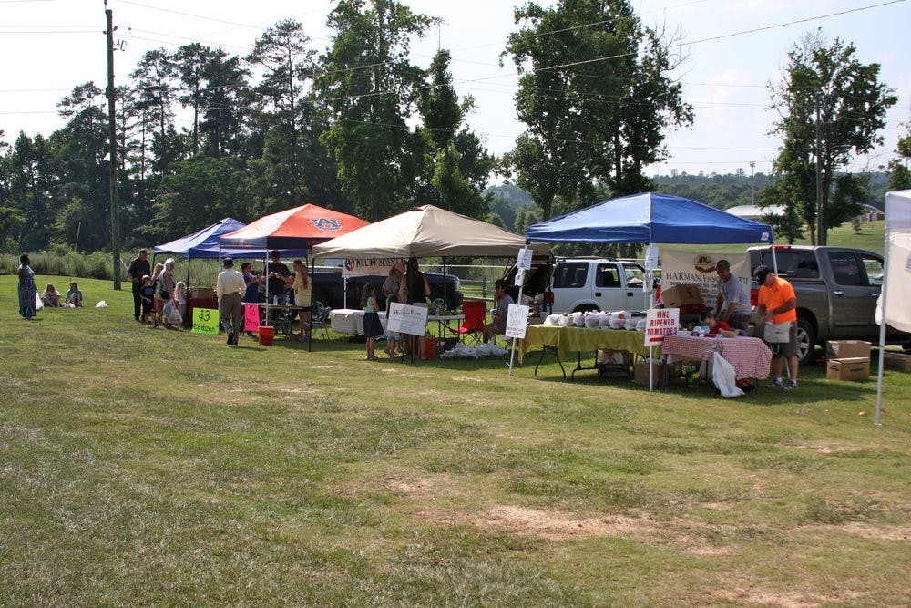 Taylor Hatchett and her father, Bobby Boozer, opened Boozer Farms in 2012. (File)