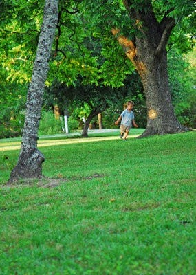 Child in Kiesel Park