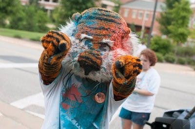 Aubie paint