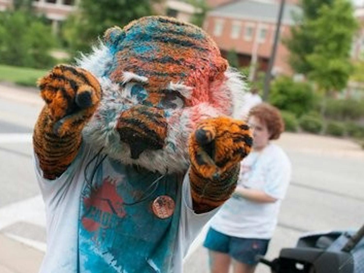 Aubie paint