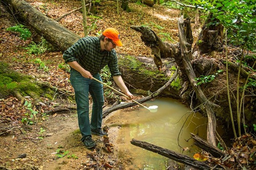 <p>Benjamin McKenzie, graduate student, is a part of a research team investigating the presence of a virus-carrying mosquito species in Alabama.</p>