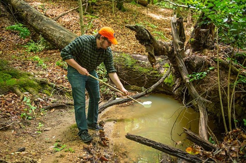 Benjamin McKenzie, graduate student, is a part of a research team investigating the presence of a virus-carrying mosquito species in Alabama.