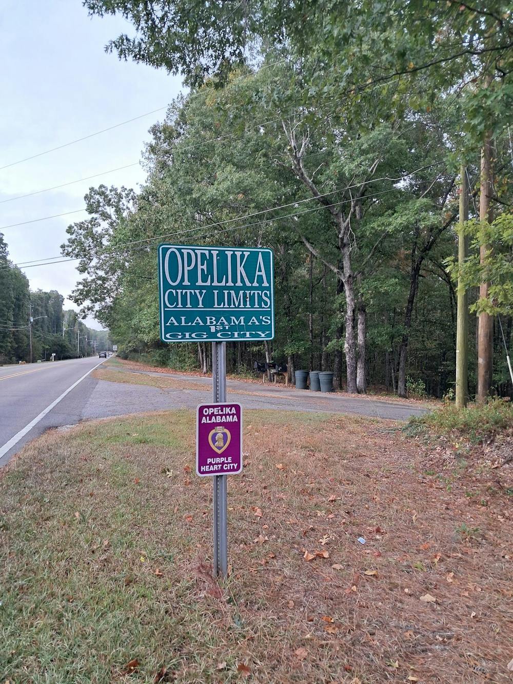 <p>The Opelika city limits sign on Hamilton Rd. on Thursday, Sept. 25, 2025 in Opelika, Alabama.</p>