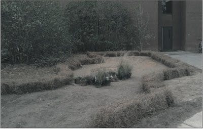 The rain garden at Dudley hall is currently in its early stages of development. (Courtesy of Mike Kensler)