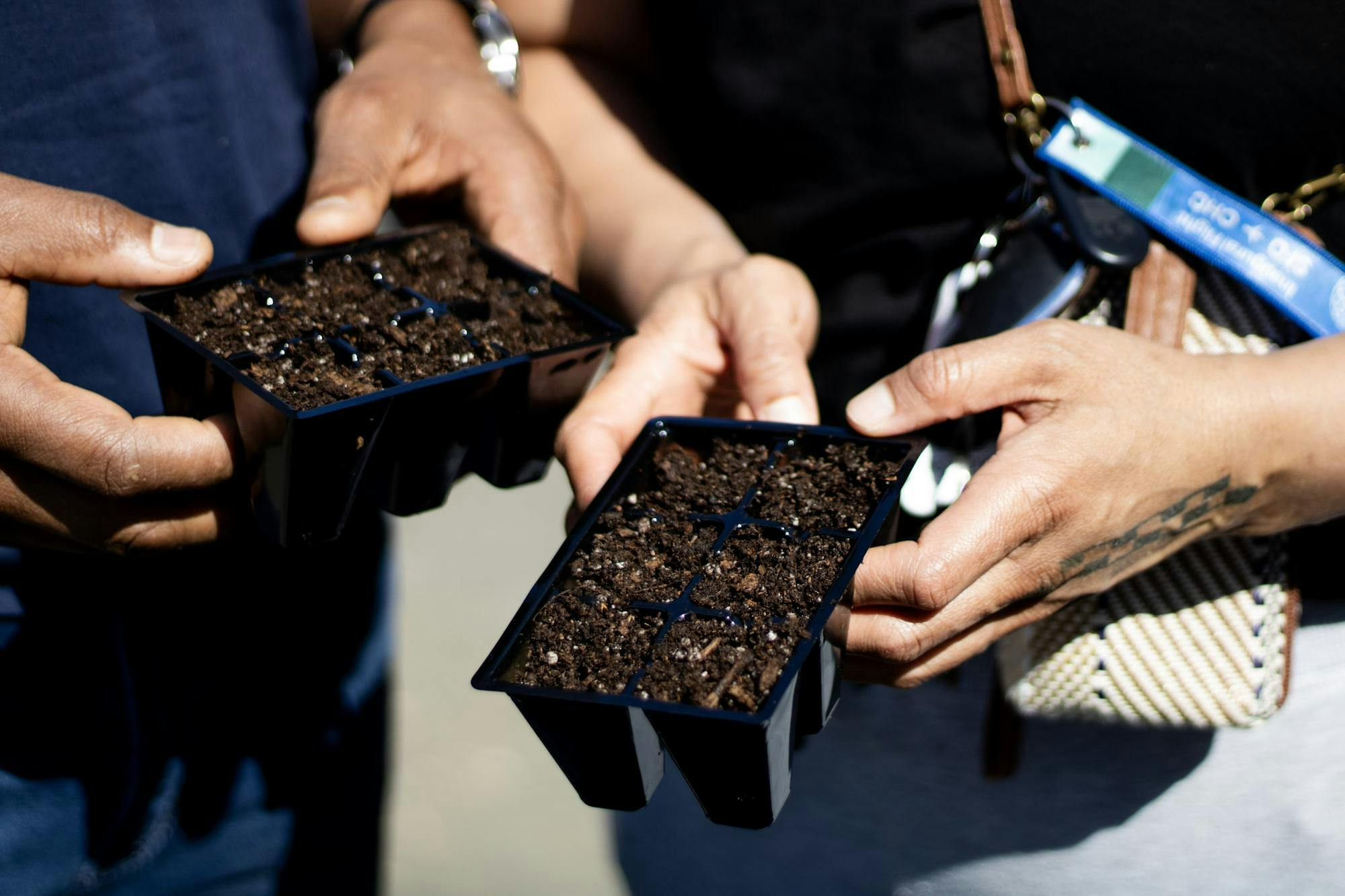 Two hands hold small black containers filled with dark soil, each with multiple sections for planting seeds.