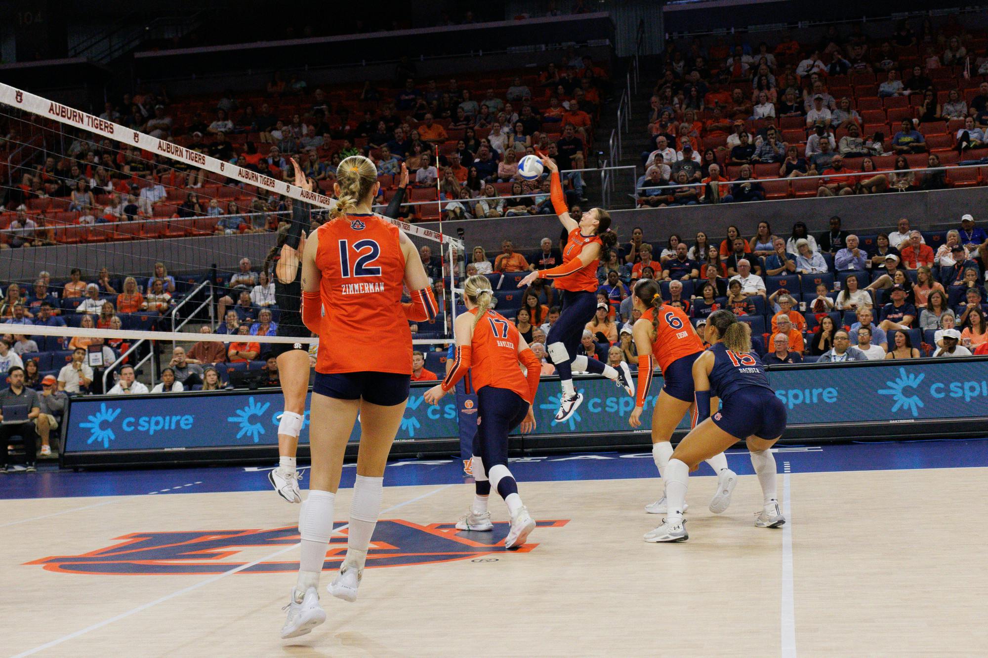 AU VB VS UGA