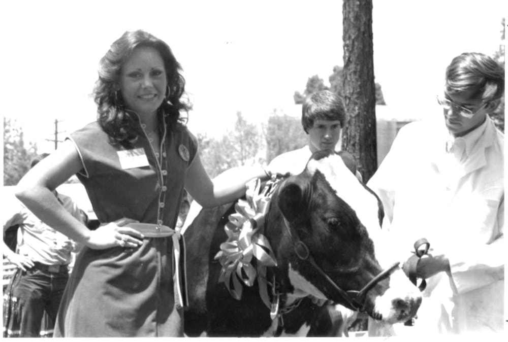Cindy Murphy, later named Miss Auburn, poses with Bessie the Cow, the winner of the 1979 Miss Auburn election.
