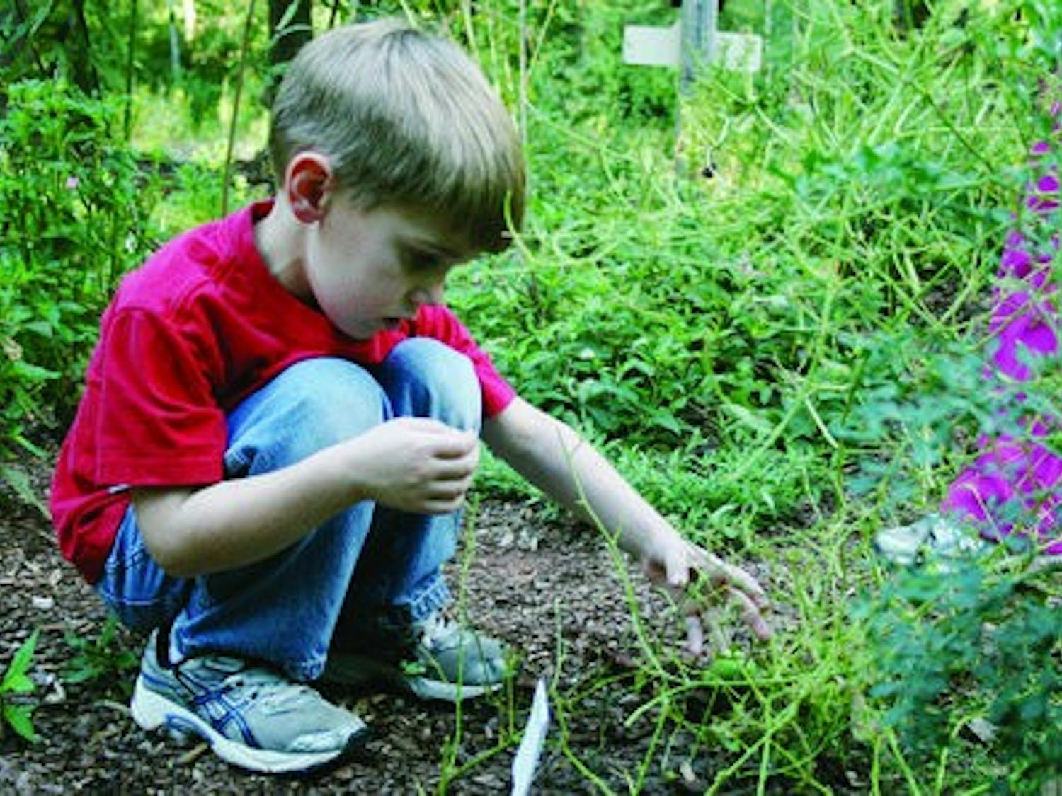 Tripp Colley, 5, examines a maypop fruit during a Discovery Hike at the Ecology Preserve. (Emily Adams / PHOTO EDITOR)