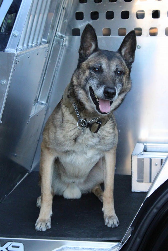 K-9 Mark in the back seat of the team's police vehicle outfitted with&nbsp;a special crate for him to ride in on April 16, 2018.