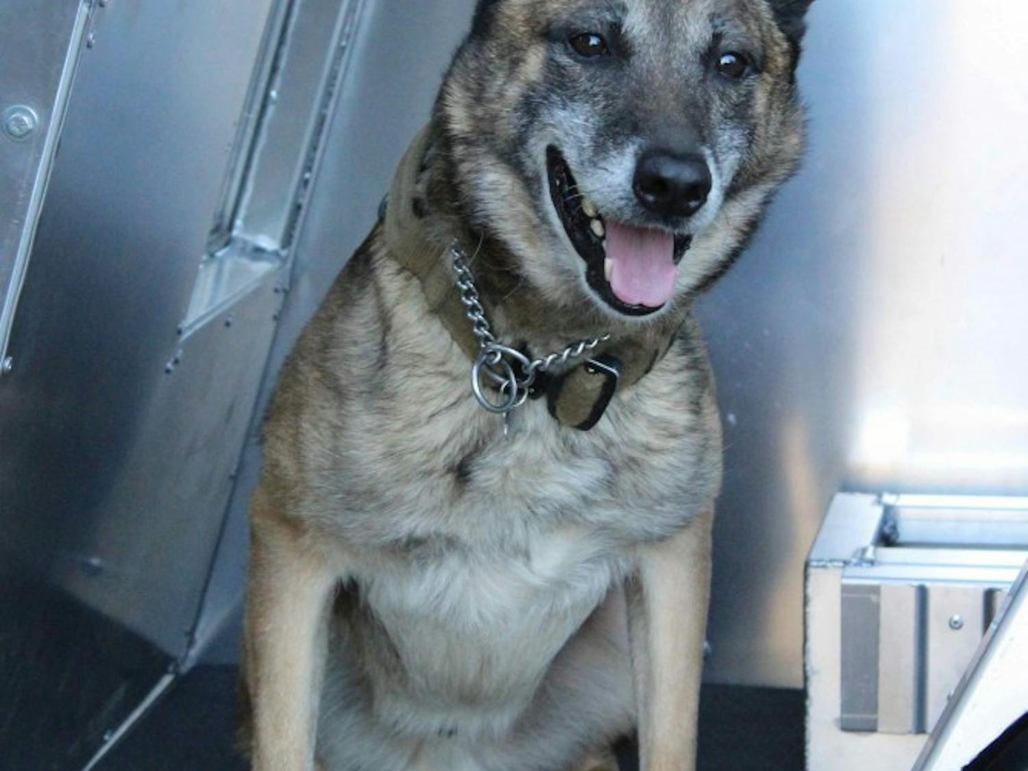 K-9 Mark in the back seat of the team's police vehicle outfitted with&nbsp;a special crate for him to ride in on April 16, 2018.