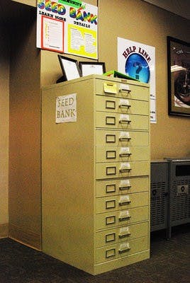 Seed Bank grows sustainable foods