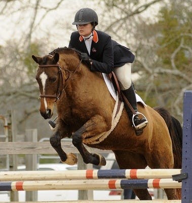 AUBURN EQUESTRIAN