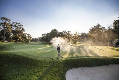 Golf course grass contributed