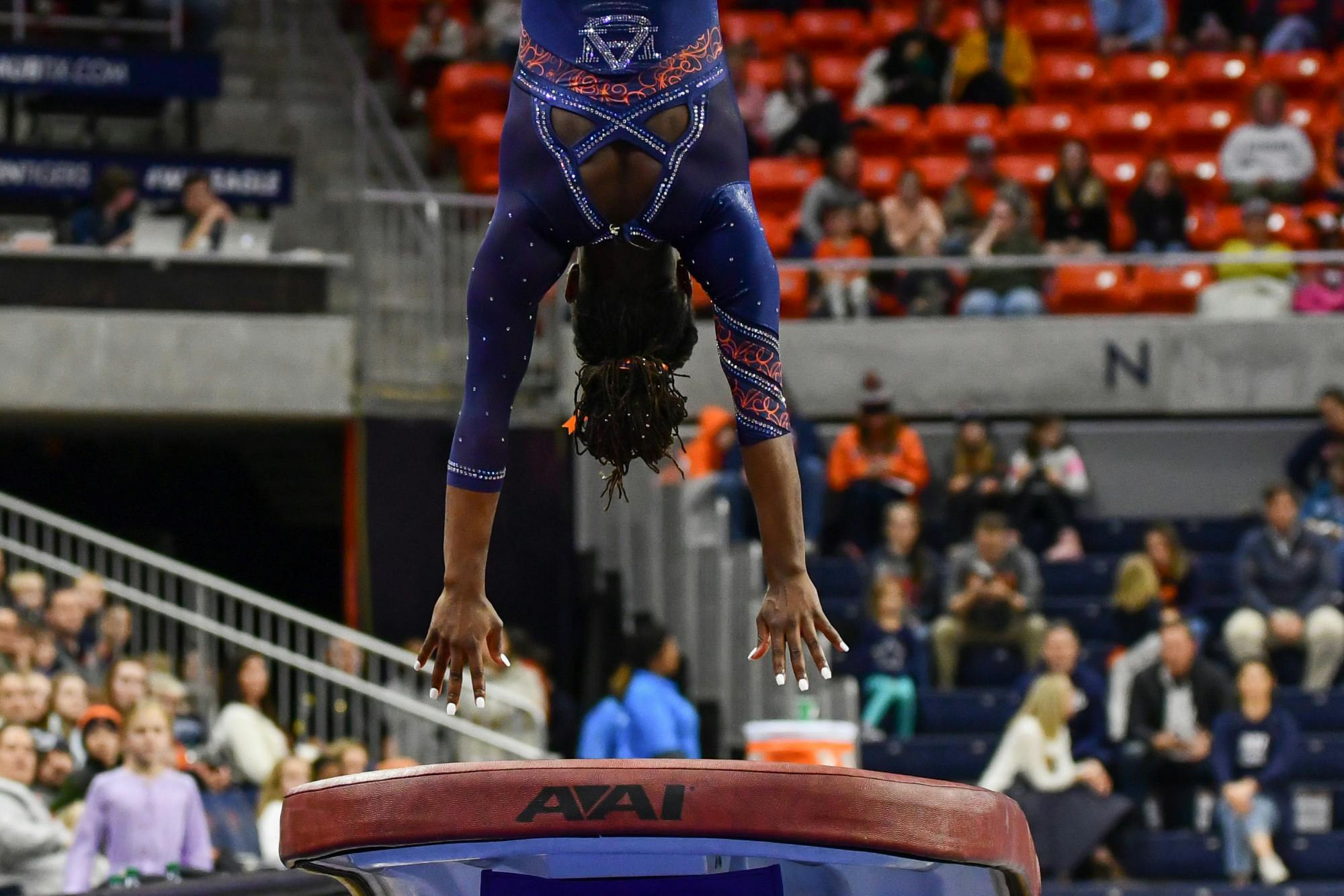 Gymnastics Preview Meet 