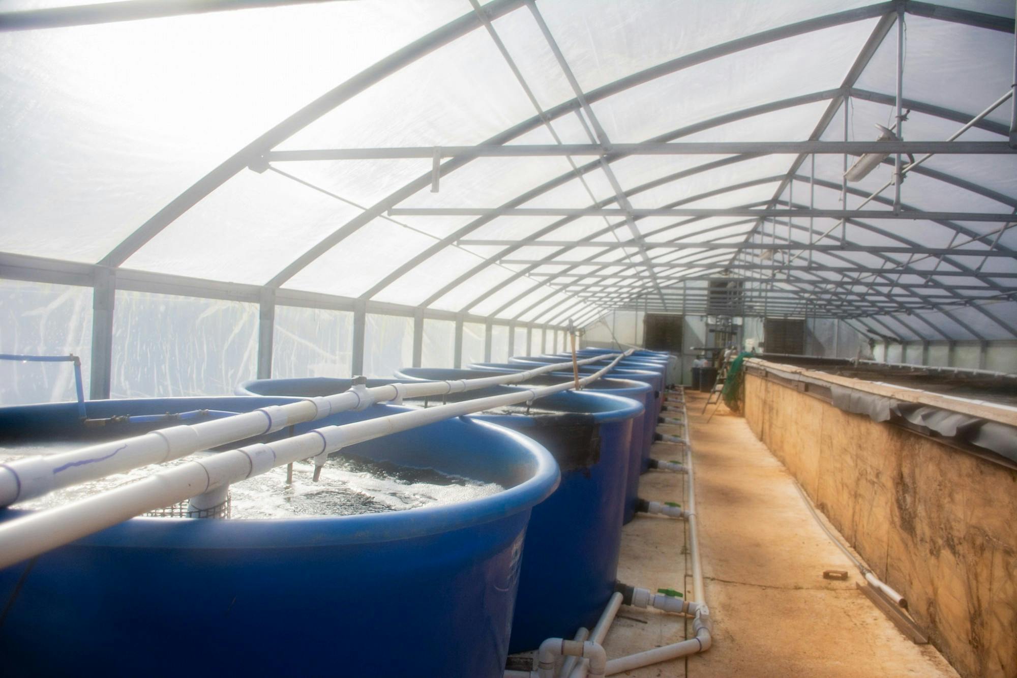 NEW TANKS Aquaponics Center