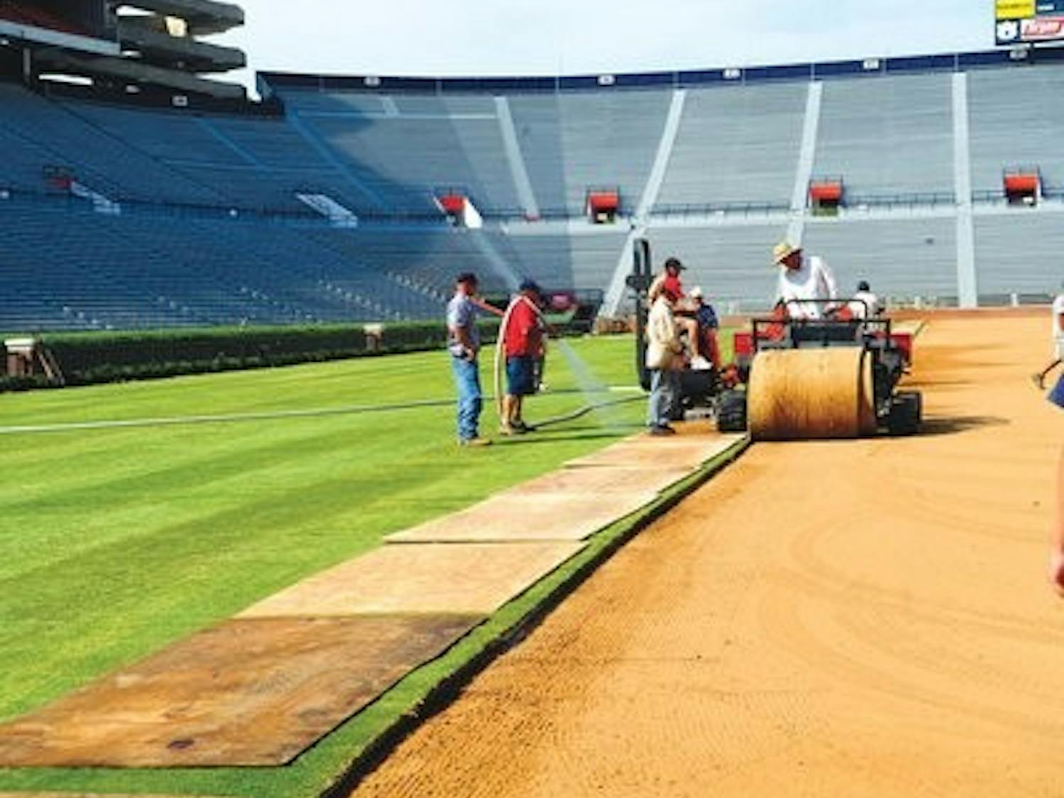 Workers placed Tifway sod on Pat Dye Field Tuesday.